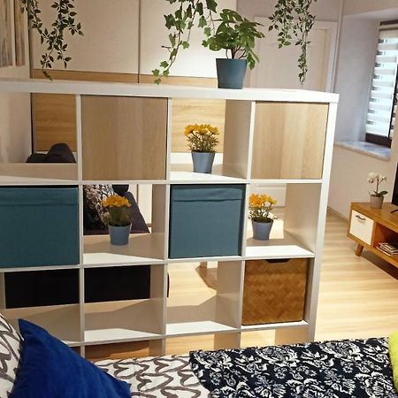 Apartament Granatowy Swietoduska 12 لوبلين المظهر الخارجي الصورة