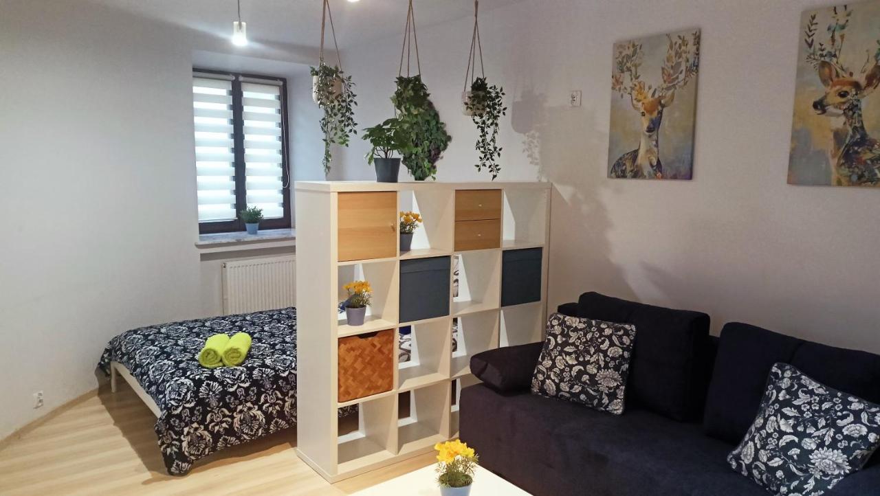 Apartament Granatowy Swietoduska 12 لوبلين المظهر الخارجي الصورة