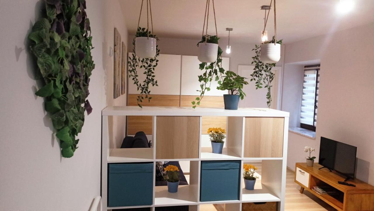 Apartament Granatowy Swietoduska 12 لوبلين المظهر الخارجي الصورة
